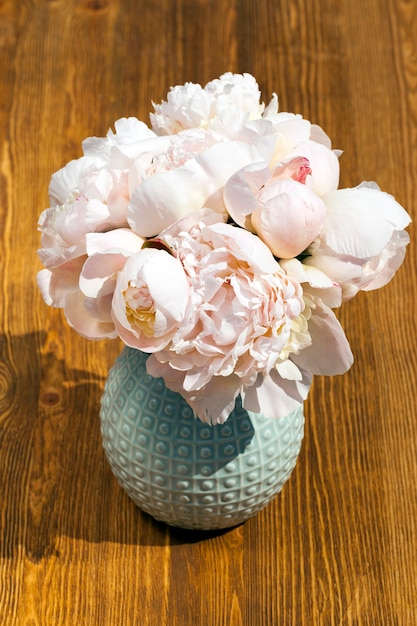 Algunas flores de peonía beige se colocan en un pequeño jarrón de pie sobre una mesa de madera. Temporada de primavera, foto de primer plano, vista superior