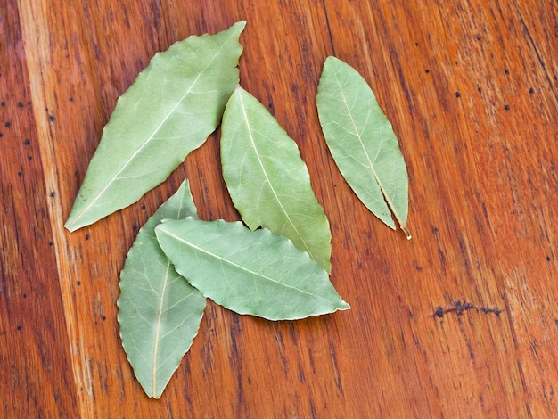 Algunas hojas de laurel en la mesa