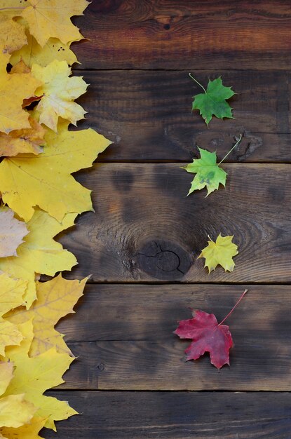 Algunas de las hojas de otoño caídas amarillentas de diferentes colores.