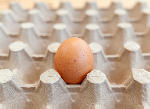 Alguns ovos marrons entre as células de um grande saco de papelão um ovo de galinha como um valioso nutriente