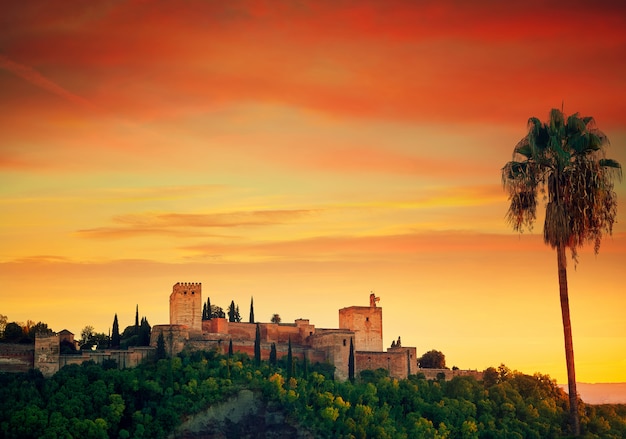 Alhambra al atardecer con palmera granada.