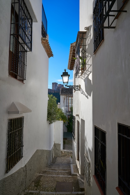 Alhambra vista de Albaicin Granada Espanha