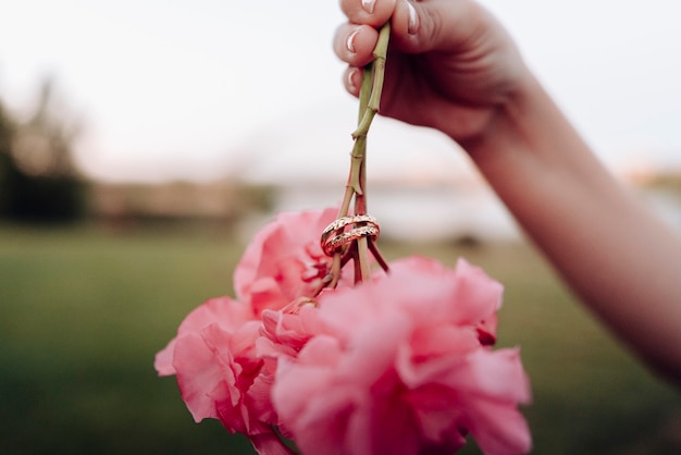 Alianças de casamento colocadas em uma flor após o casamento