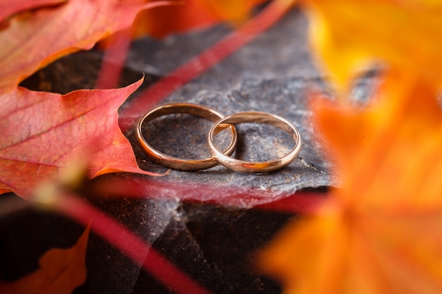 Alianças de casamento com folhas de outono douradas