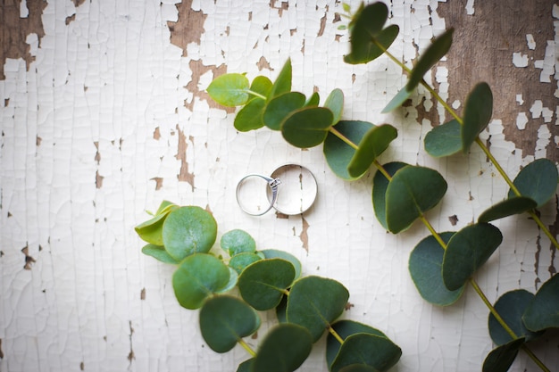 Alianças de casamento e folhas na superfície de madeira envelhecida