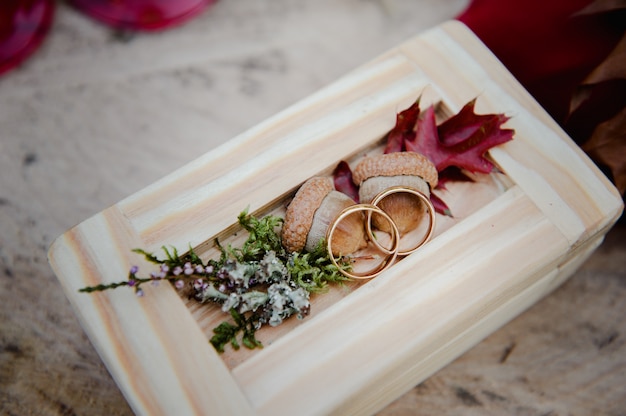 Alianças de casamento em uma caixa de madeira com bolotas. cerimônia de casamento. anéis no coto.