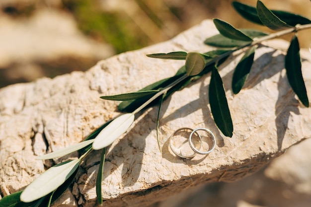 Alianças de casamento na pedra e no ramo de oliveira