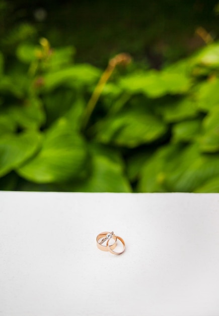 Alianças de casamento nas rochas perto da grama