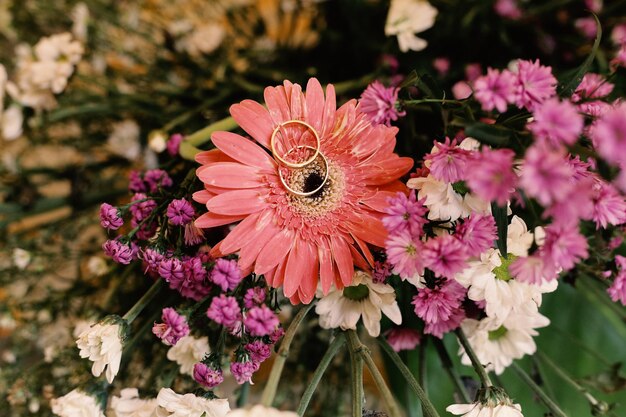 Alianças de casamento símbolo amor família. Um par de alianças simples