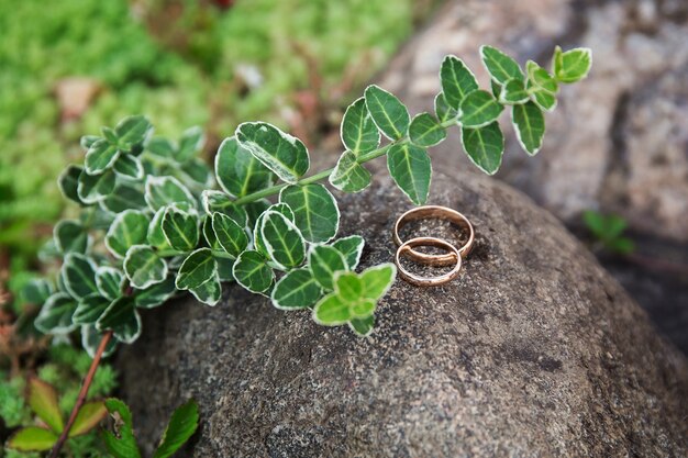 alianças de casamento