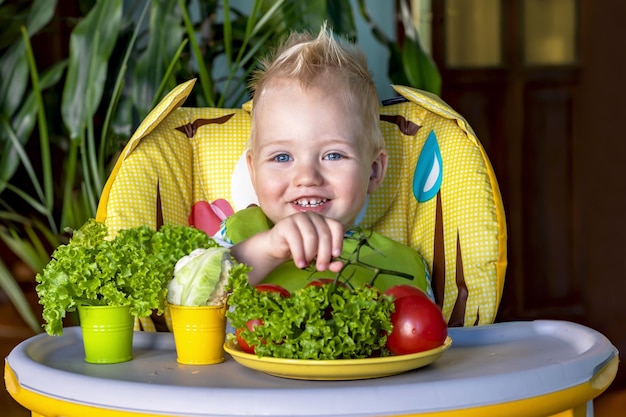 Alimentación del bebé