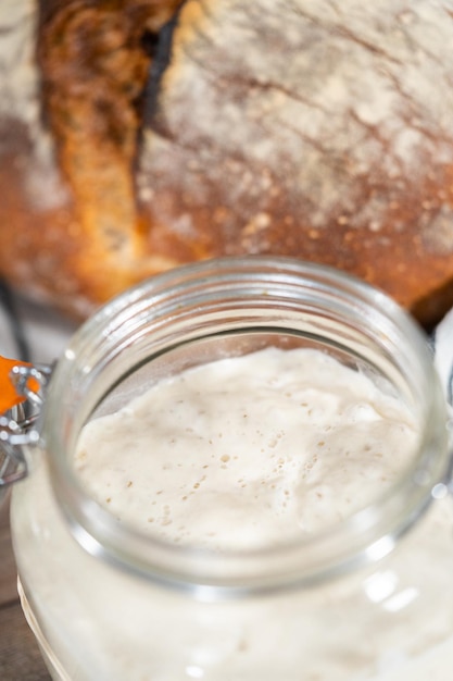 Alimentación de iniciador de masa fermentada en un tarro de vidrio para hornear pan artesanal