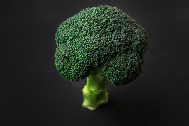 Una alimentación saludable, árbol de brócoli verde fresco sobre fondo oscuro