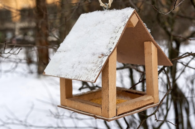 Alimentador com cereais polvilhados para alimentar pássaros no inverno