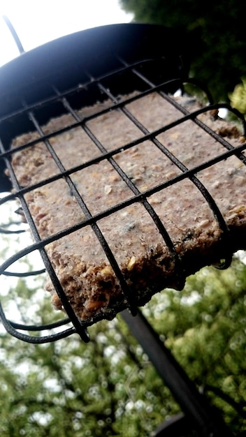 Foto alimentador de aves de metal