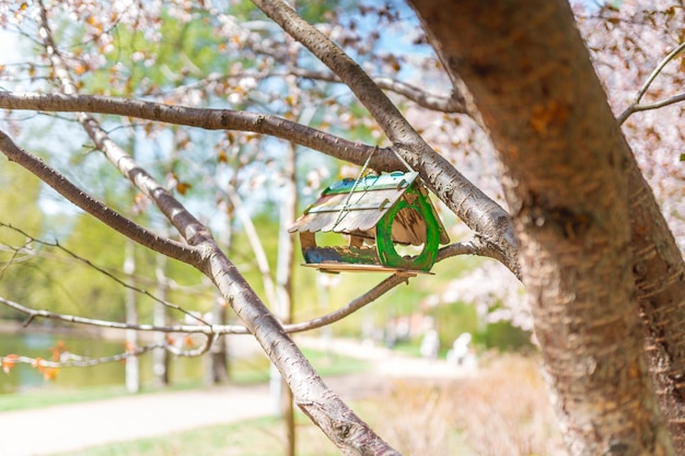 Alimentador de pássaros em um galho no jardim de verão