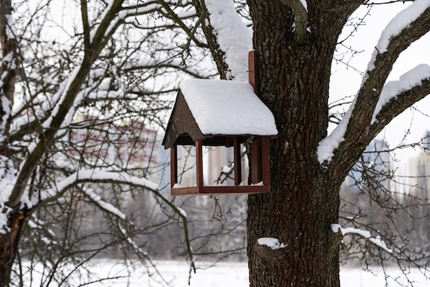 Alimentador de pássaros inverno em uma árvore em um parque de inverno