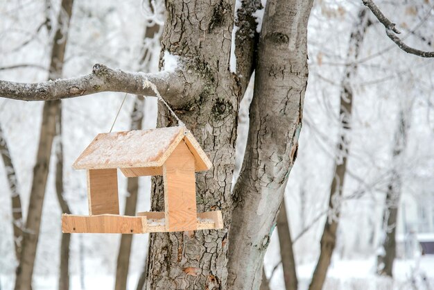 Alimentador de pássaros no parque de inverno