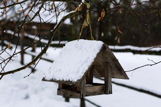 Alimentador de pájaros de madera en un árbol Paisaje ruso de invierno Pueblo ruso abandonado cubierto de nieve El concepto de cuidar la naturaleza y las aves