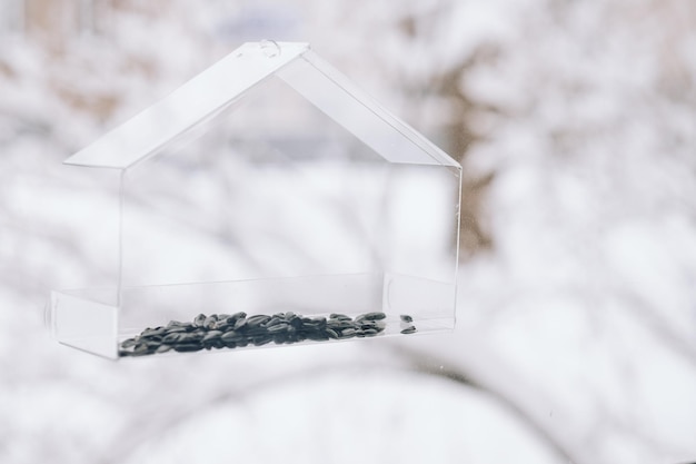 alimentador de pájaros transparente vacío con semillas en la ventana contra un fondo de nieve de primer plano.