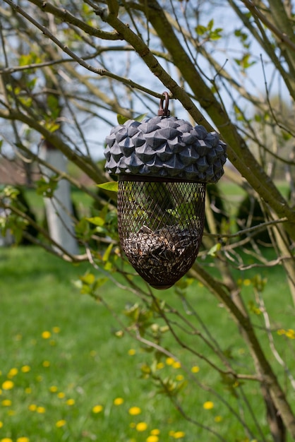 Alimentador para pássaros em forma de noz de bolota pendurada nos galhos de um arbusto na primavera ga