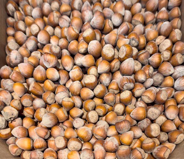 alimento para la salud de las nueces de avellana de la cosecha