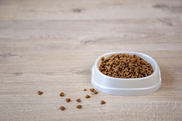 Alimento seco para cães e gatos