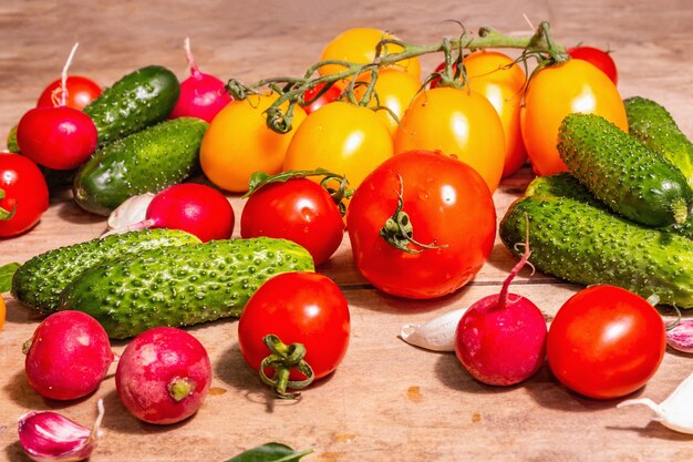 Alimentos, colheita, conceito de verão. Variedade de tomates vermelhos e amarelos do agricultor orgânico maduro, pepinos, rabanete, alho e folhas frescas de manjericão. Mesa de madeira velha, lugar para texto