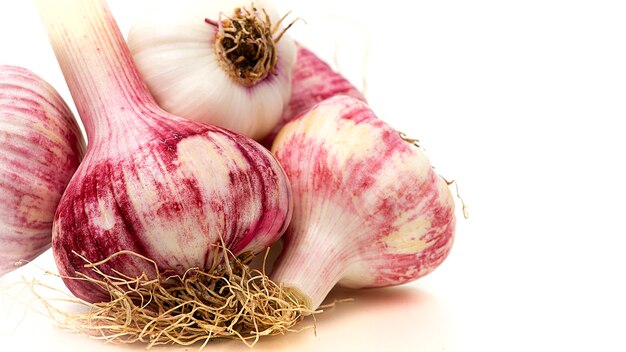 Alimentos fresco ajo morado sobre un fondo blanco, horizontal, ningún pueblo,