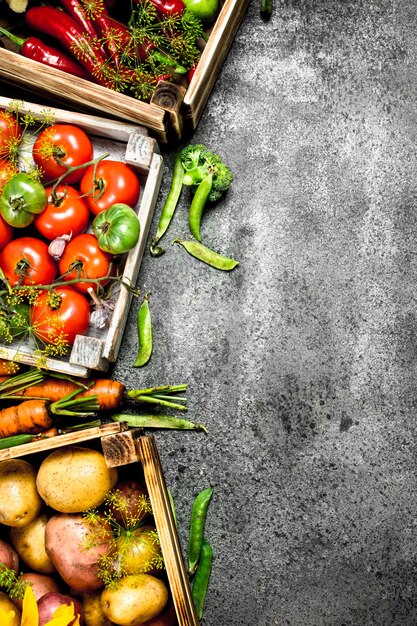 Alimentos orgánicos. Cosecha fresca de hortalizas en cajas. Sobre un fondo rústico.