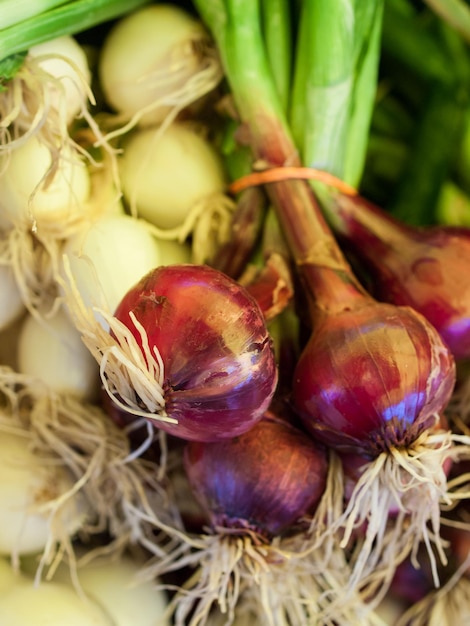 Alimentos orgánicos frescos en el mercado de agricultores local. Los mercados de agricultores son una forma tradicional de vender productos agrícolas.