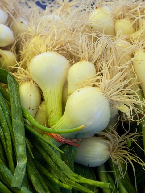 Alimentos orgánicos frescos en el mercado de agricultores local. Los mercados de agricultores son una forma tradicional de vender productos agrícolas.