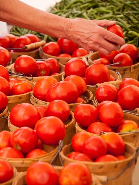 Alimentos orgánicos frescos en el mercado de agricultores local. Los mercados de agricultores son una forma tradicional de vender productos agrícolas.