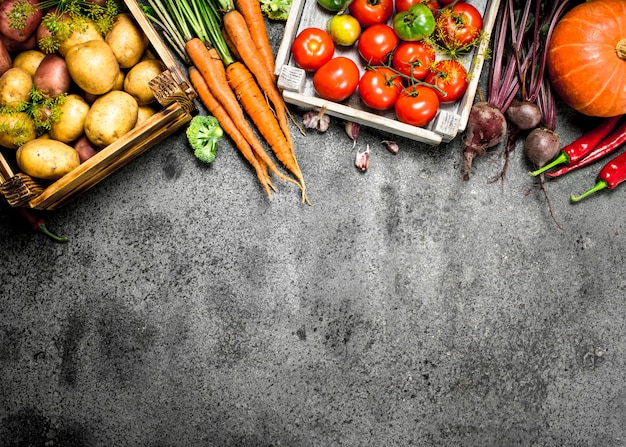 Alimentos orgánicos. Hortalizas cosechadas.