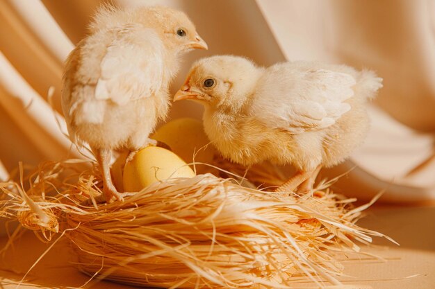 Alimentos para la Pascua