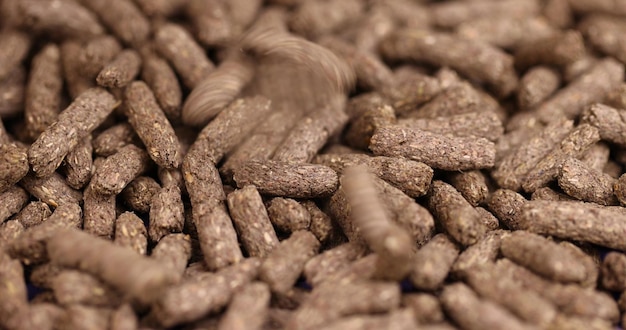 Foto alimentos saludables combinados para la cría de roedores