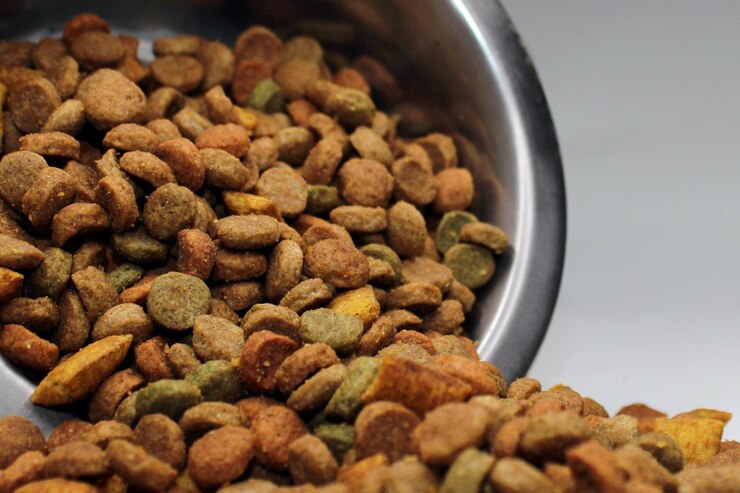 Foto alimentos secos para cães gatos derramados de uma tigela sobre um fundo claro closeup turva perto do fundo
