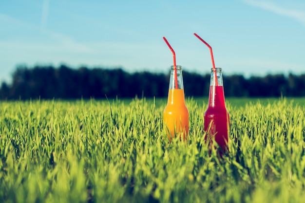 Alkoholische Partei Coctails rotes und orange frisches Getränk in Flaschen, die im Sommergras mit Stroh stehen