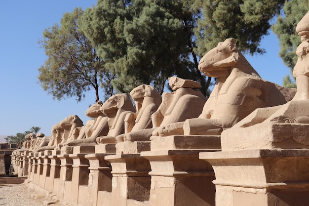 Allee der Sphinxe im Karnak-Tempel in Luxor, Ägypten