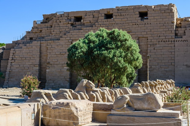 Allee der widderköpfigen Sphinxe in einem Karnak-Tempel Luxor Ägypten