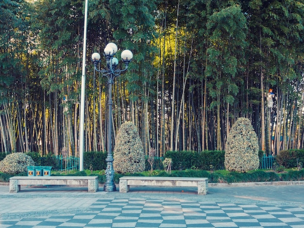 Alley no parque batumi geórgia