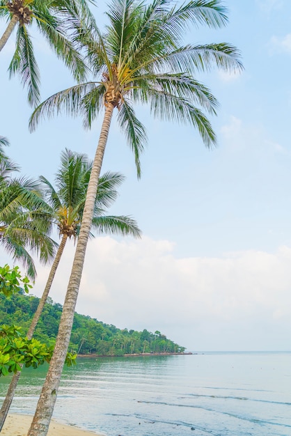 Foto allgemeine ansicht der tropischen insel vom meer