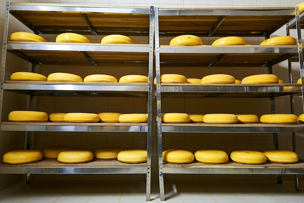 Almacén de la fábrica de queso con estantes de producto
