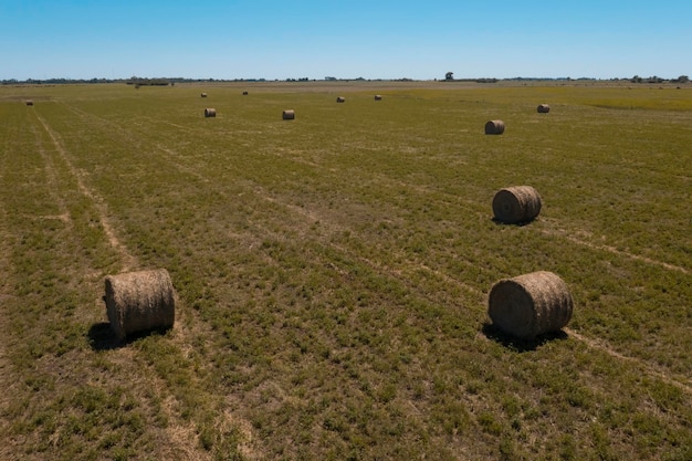 Almacenamiento de pacas de pasto en la campiña de La Pampa Patagonia Argentina