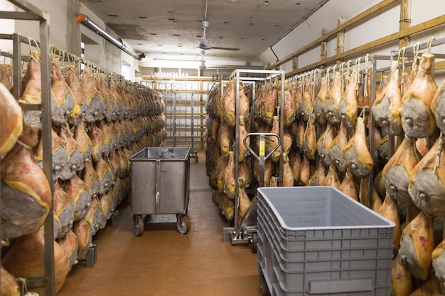 Almacenamiento de prosciutto en una fábrica de jamón en Bolonia, Italia