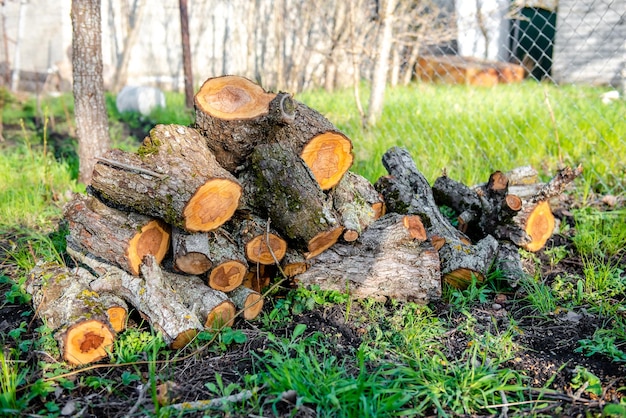 Almacenamiento de troncos al aire libre Leña apilada al aire libre Montón de troncos de madera sobre hierba verde