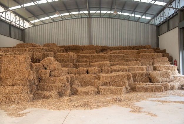 Almacenes de paja de arroz.