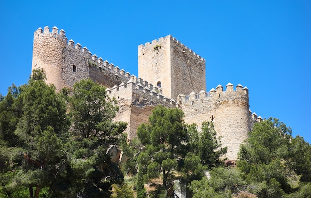Almansa castelo em Albacete de Espanha