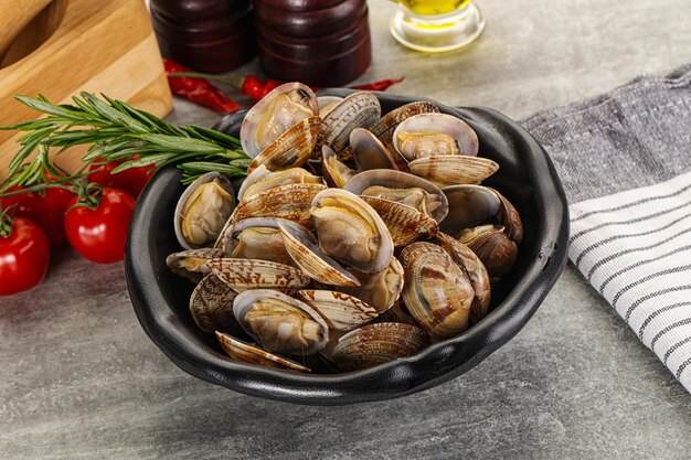 Almejas vongole crudas para cocinar