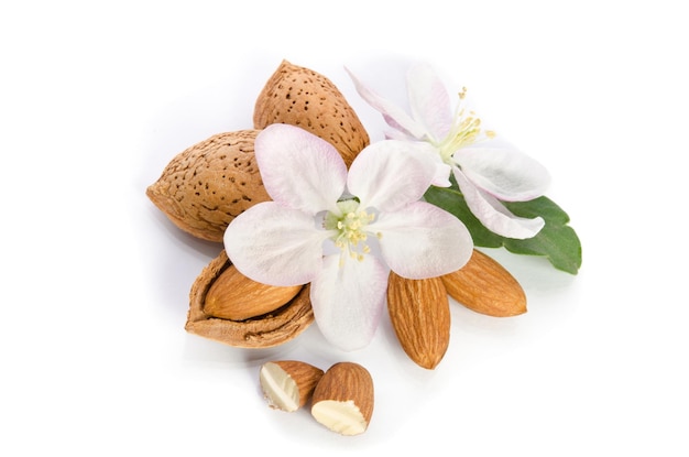 Foto almendras con hojas y flores de cerca en el fondo blanco